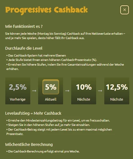 Progressives Cashback-System für VIP-Spieler im BetCleo Casino